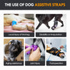 Adatta per cani anziani, infortuni e post-operatorio