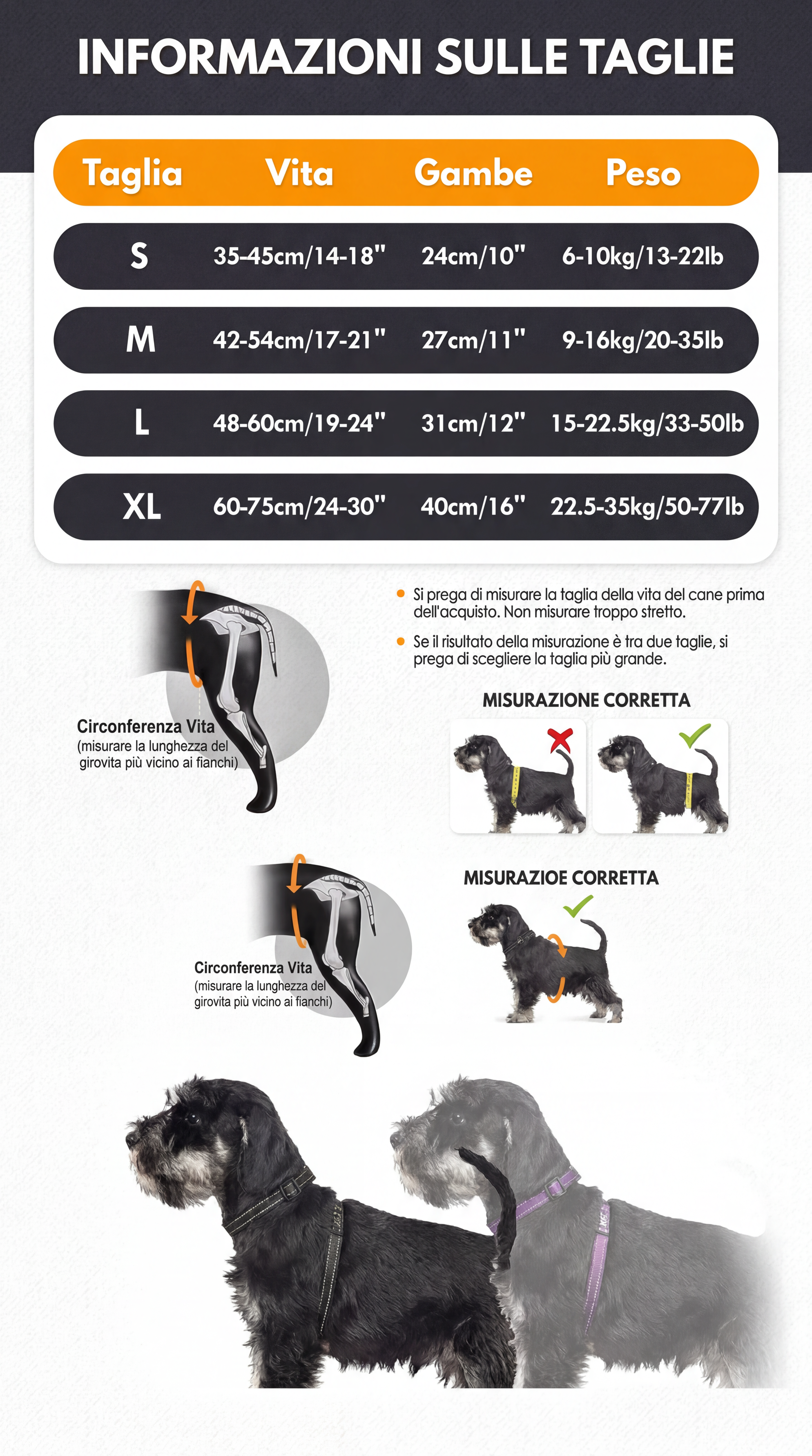 Imbracatura di Sollevamento per Cani — Supporto Zampe Posteriori