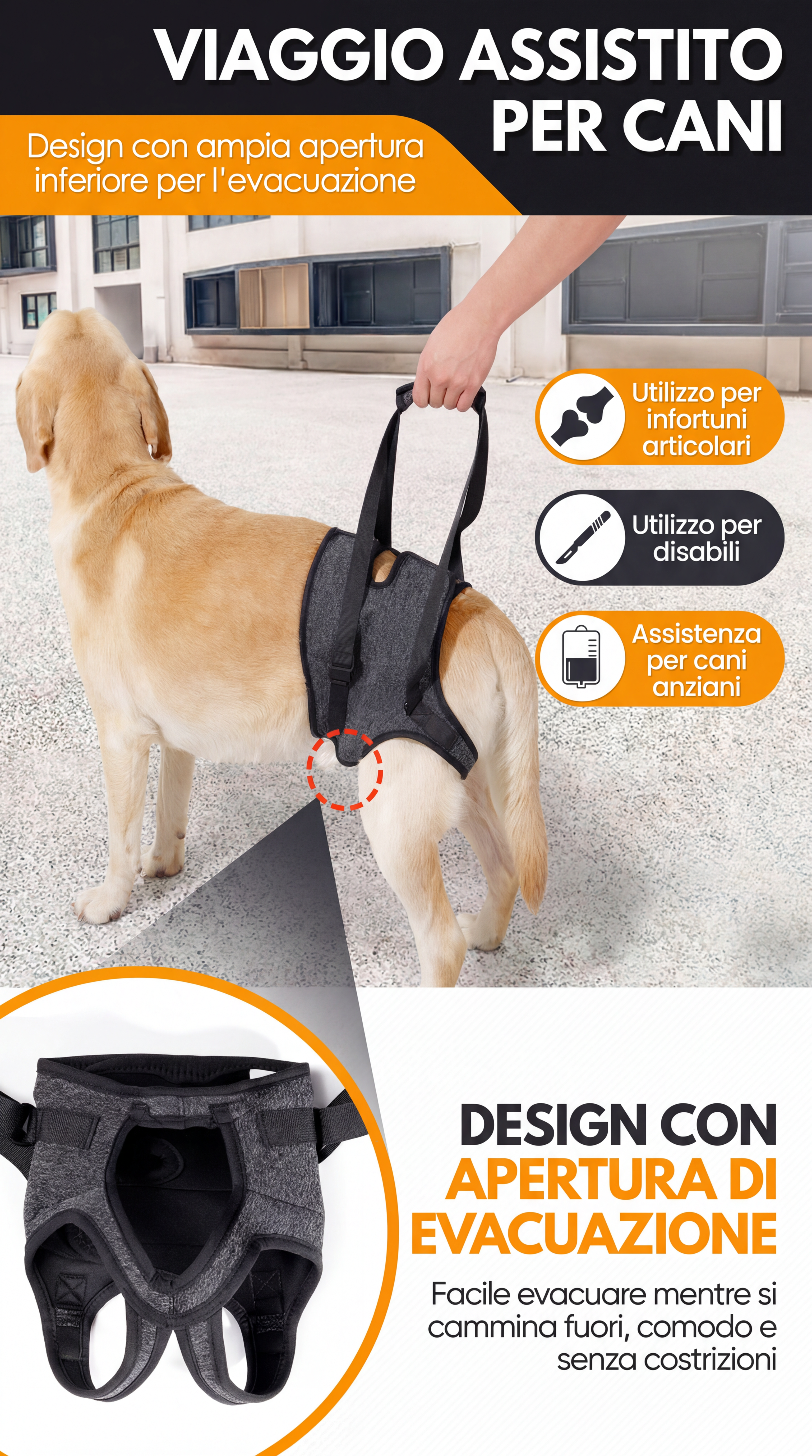 Imbracatura di Sollevamento per Cani — Supporto Zampe Posteriori