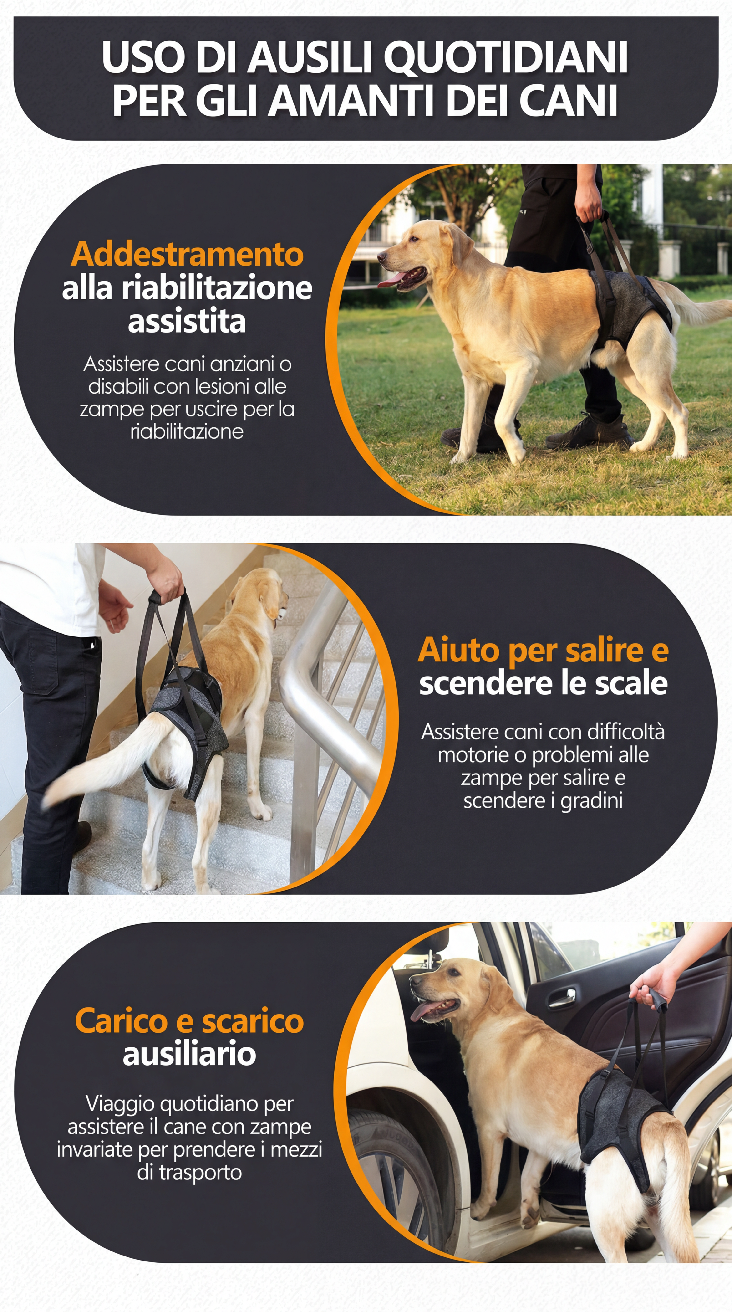 Imbracatura di Sollevamento per Cani — Supporto Zampe Posteriori